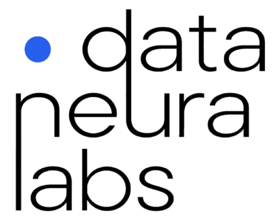 DataNeuraLabs Logo