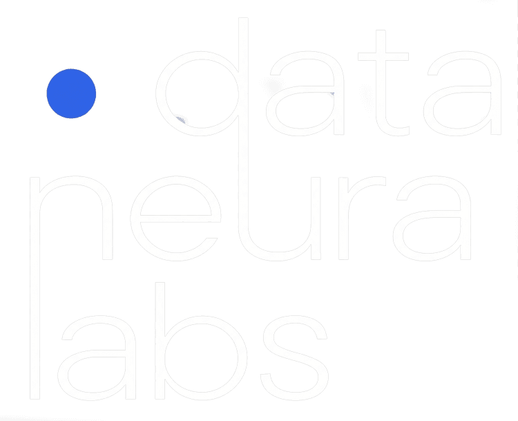 DataNeuraLabs Logo